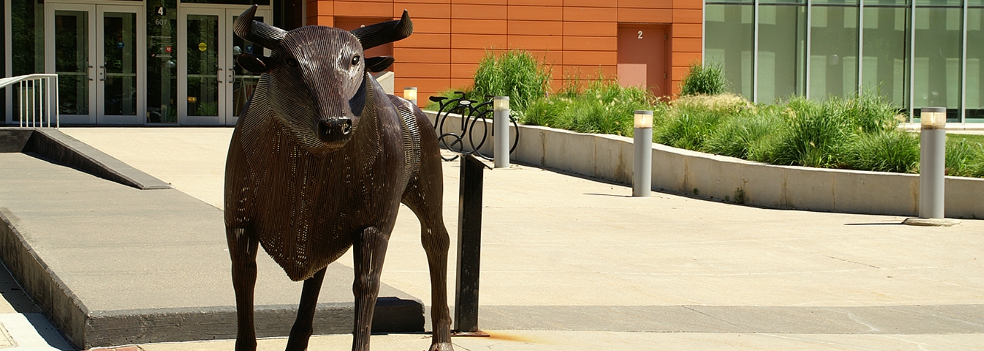 Statue of Bull outside of Sioux City Public Museum